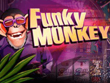 Онлайн-аппарат Funky Monkey